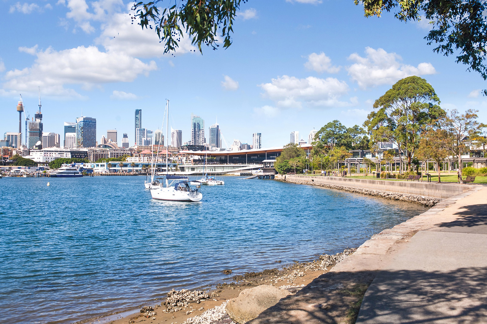 18/29-31 Cook Street, Glebe For Sale by Sydney Sotheby's International Realty - image 11