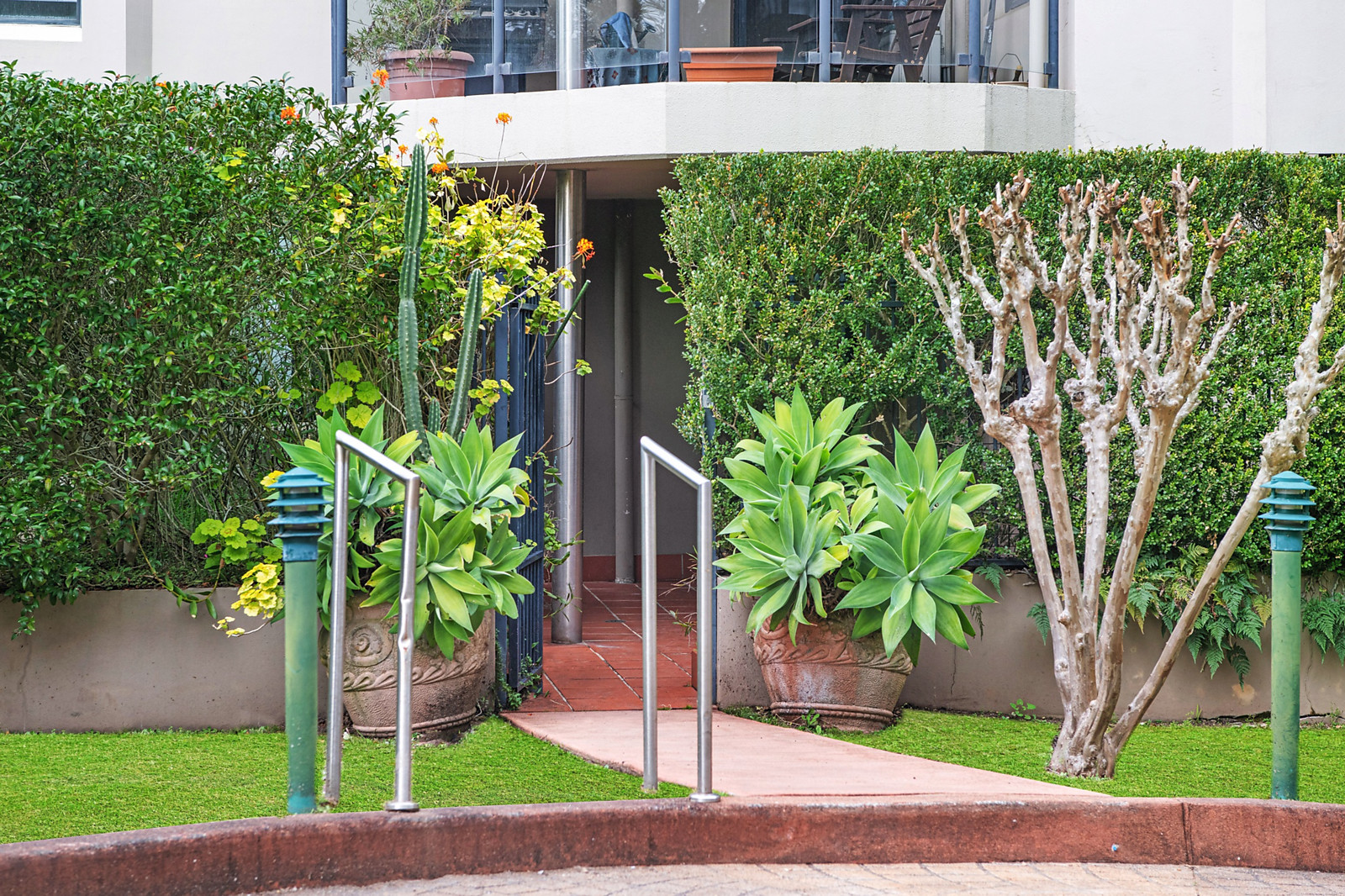 18/29-31 Cook Street, Glebe For Sale by Sydney Sotheby's International Realty - image 3