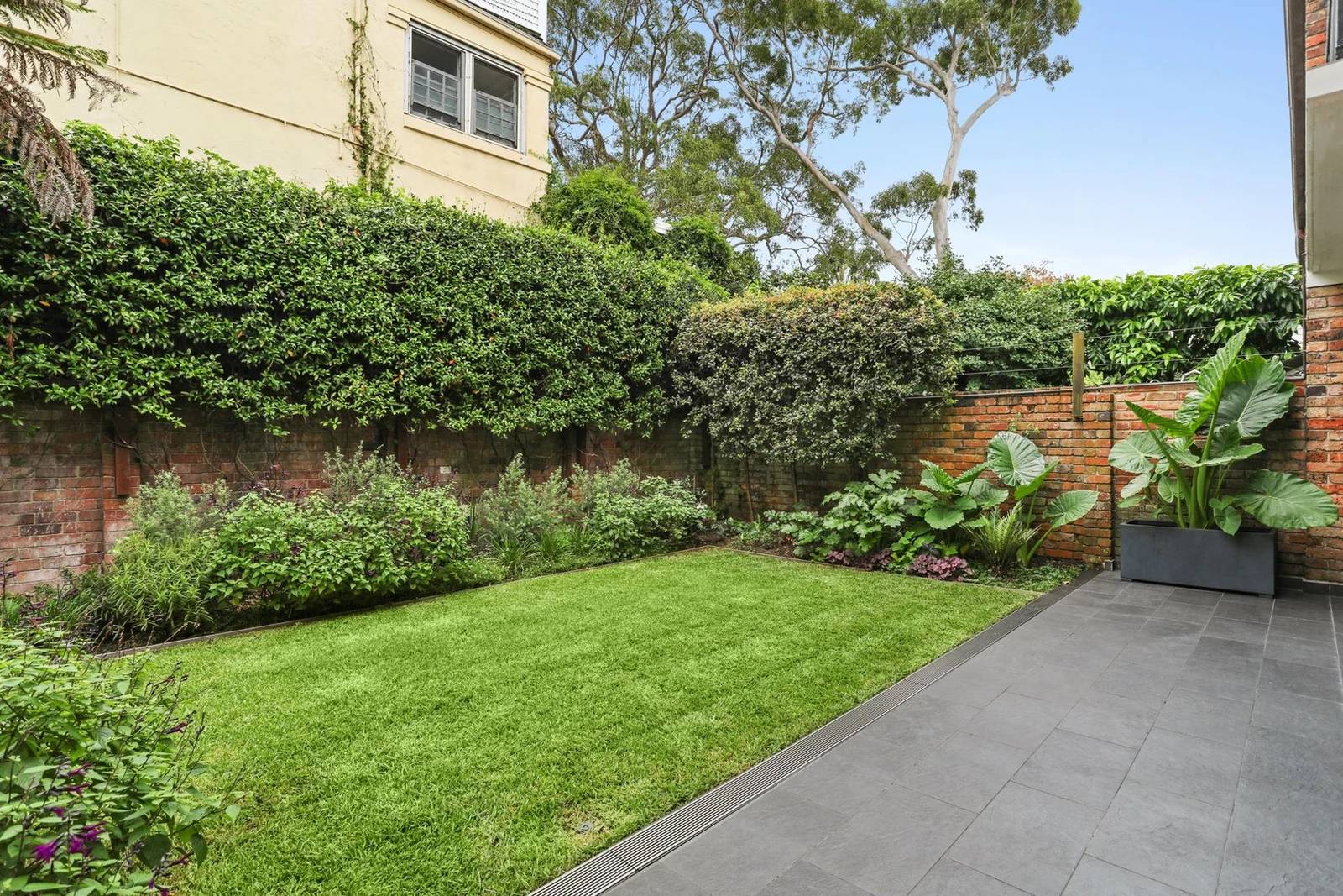 3/5 Trelawney Street, Woollahra For Lease by Sydney Sotheby's International Realty - image 2