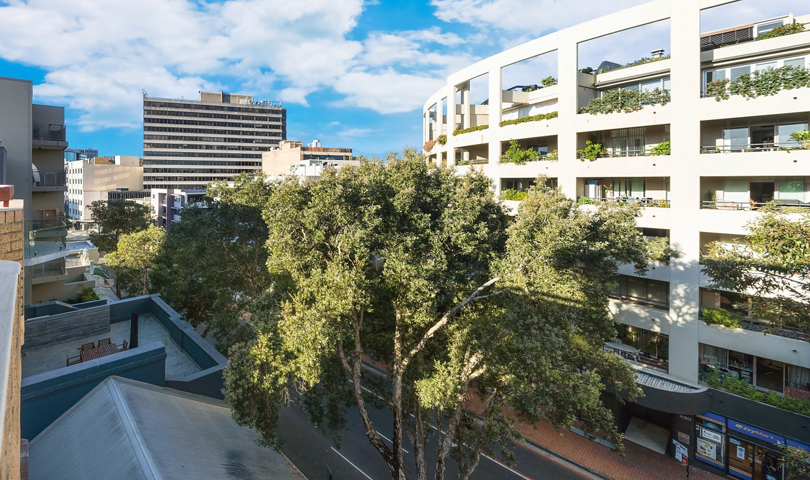 491-493 Elizabeth Street, Surry Hills - Image 1