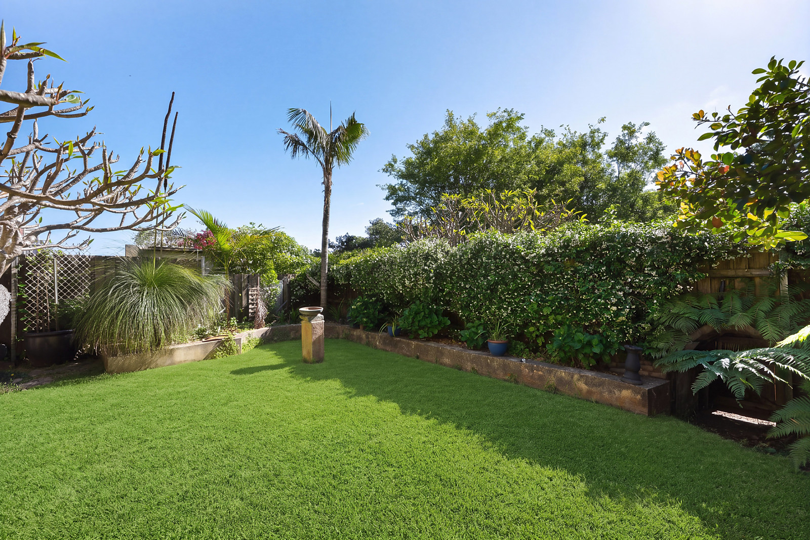 11 Henry Street, Queens Park Auction by Sydney Sotheby's International Realty - image 11