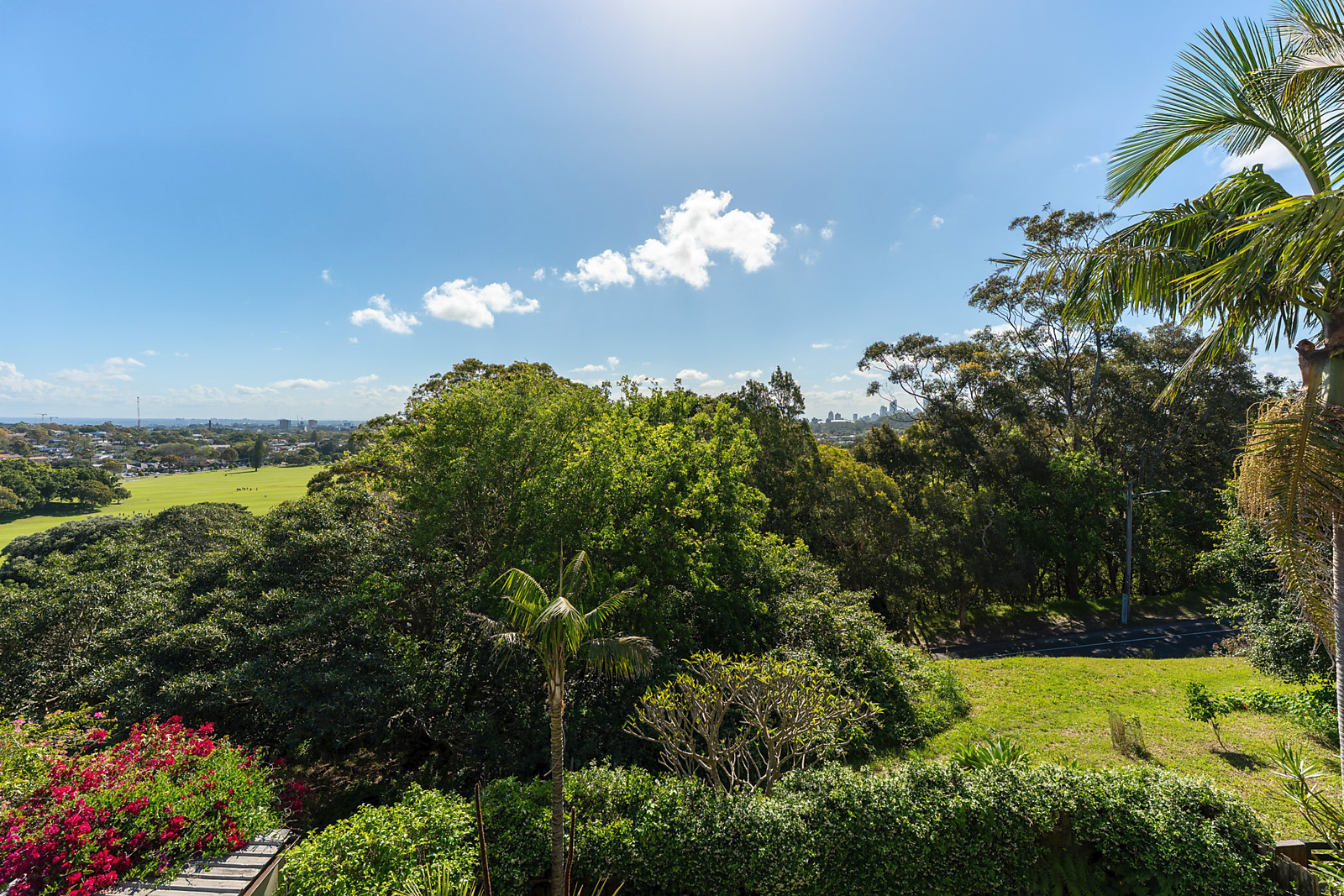 11 Henry Street, Queens Park Auction by Sydney Sotheby's International Realty - image 20