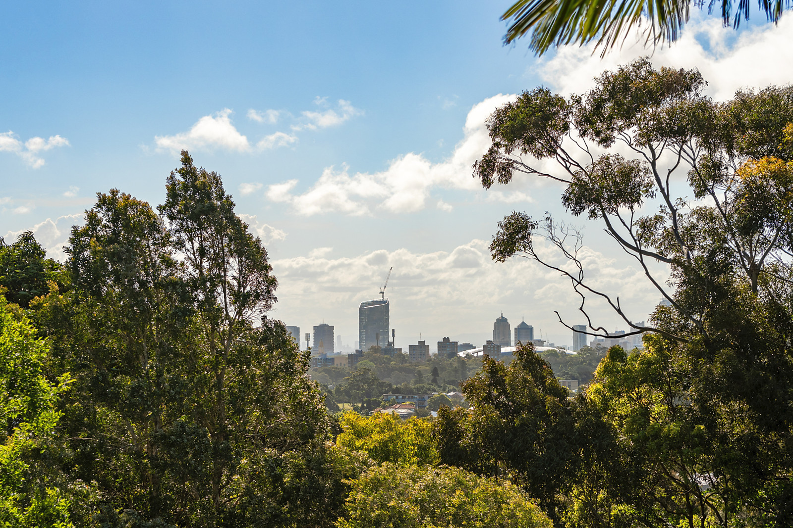 11 Henry Street, Queens Park Auction by Sydney Sotheby's International Realty - image 21
