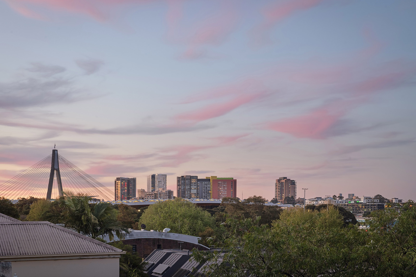 11 Bellevue Street, Glebe For Sale by Sydney Sotheby's International Realty - image 16