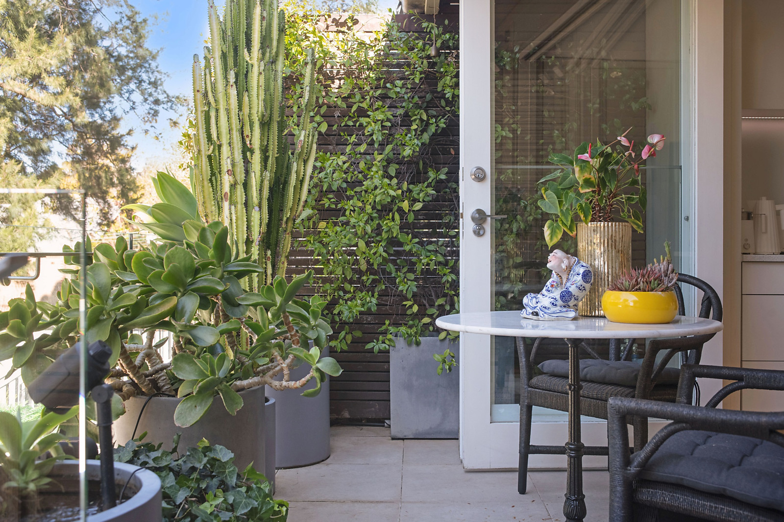 11 Bellevue Street, Glebe For Sale by Sydney Sotheby's International Realty - image 5