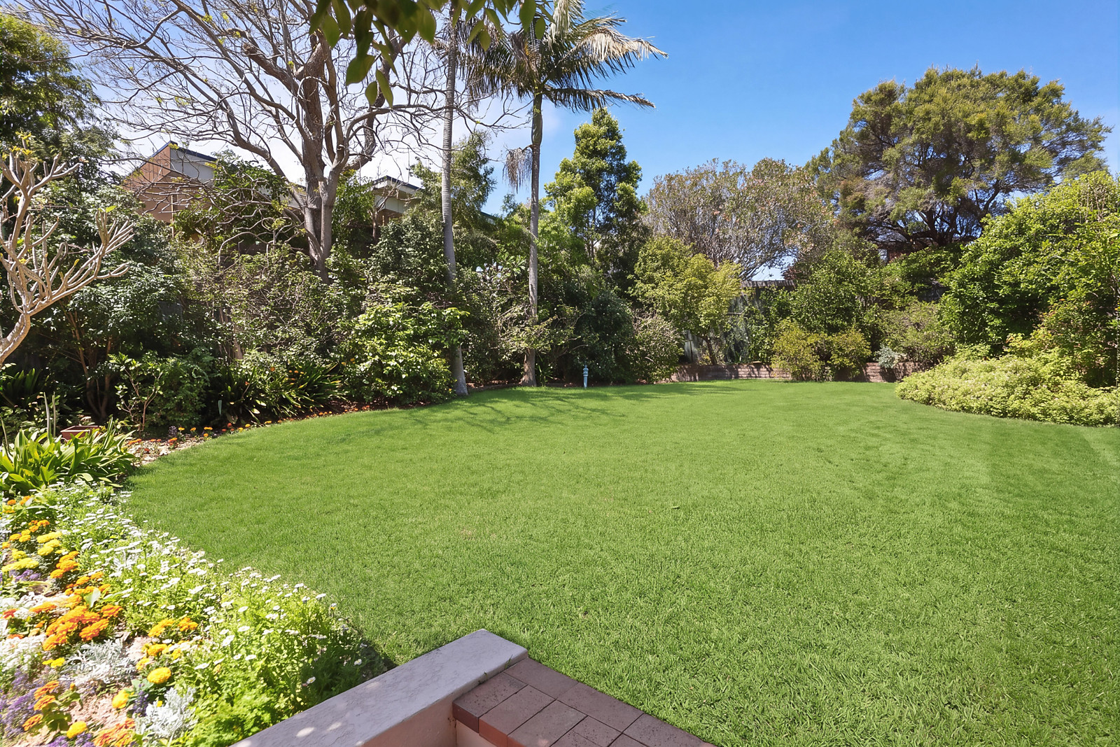 3 Alan Avenue, Seaforth For Sale by Sydney Sotheby's International Realty - image 3