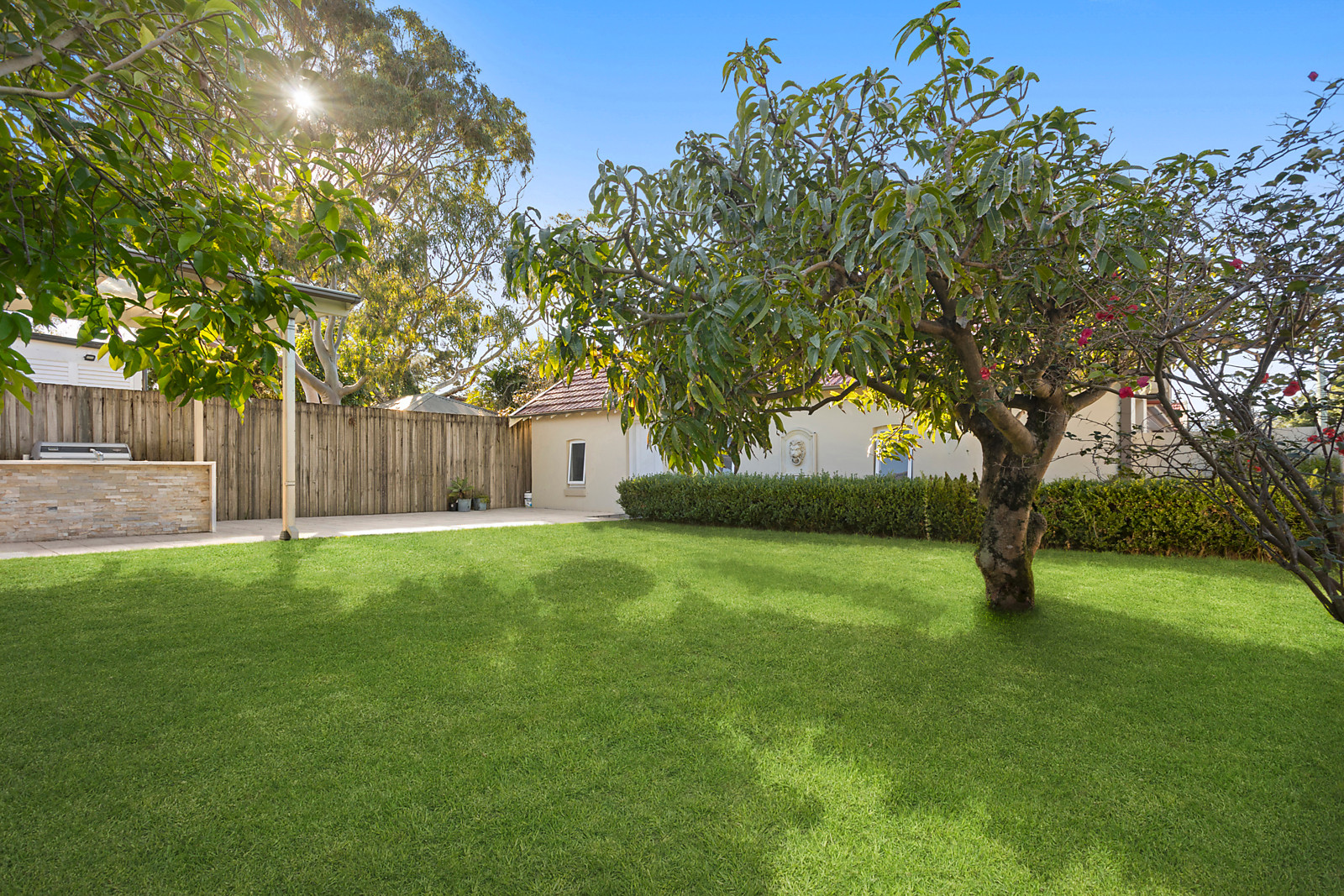 59 Cottenham Ave, Kensington Auction by Sydney Sotheby's International Realty - image 3