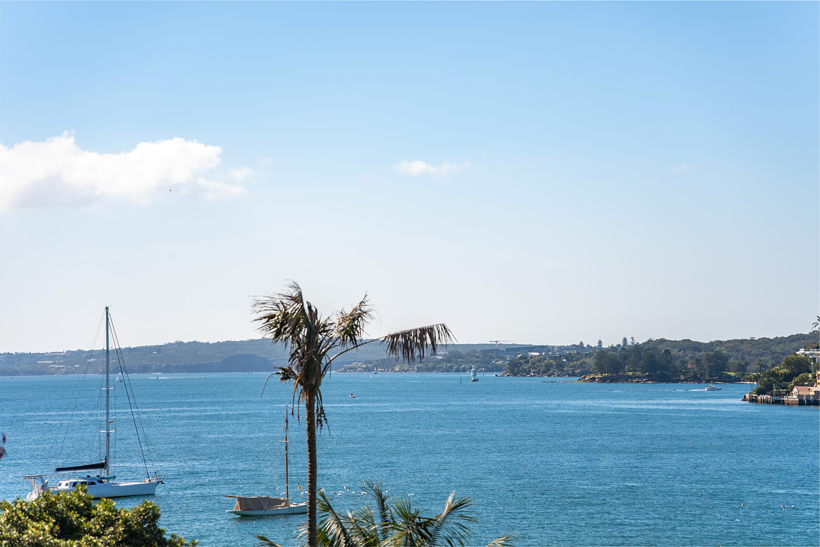2A/27 Sutherland Crescent, Darling Point Auction by Sydney Sotheby's International Realty - image 10