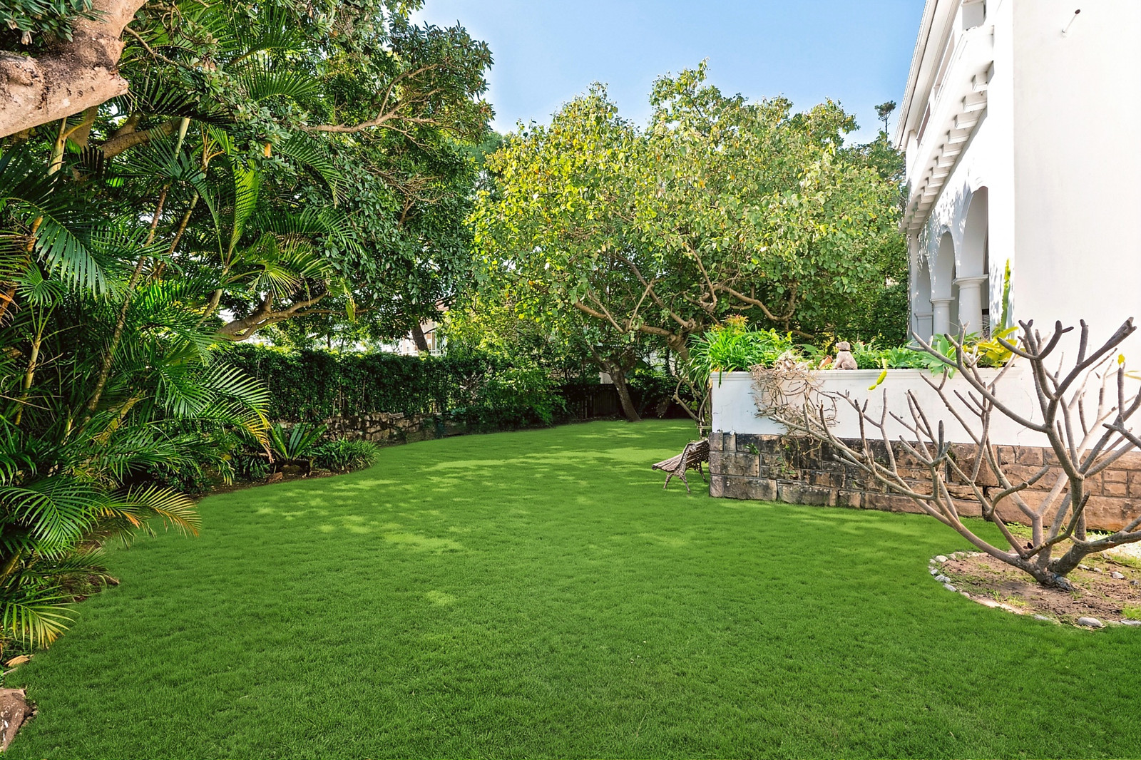 3 Victoria Road, Bellevue Hill For Sale by Sydney Sotheby's International Realty - image 4