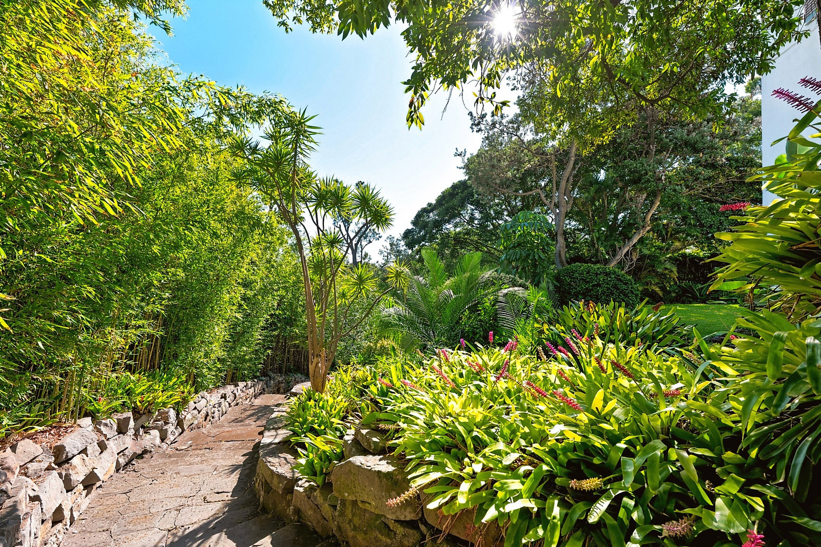 3 Victoria Road, Bellevue Hill For Sale by Sydney Sotheby's International Realty - image 7