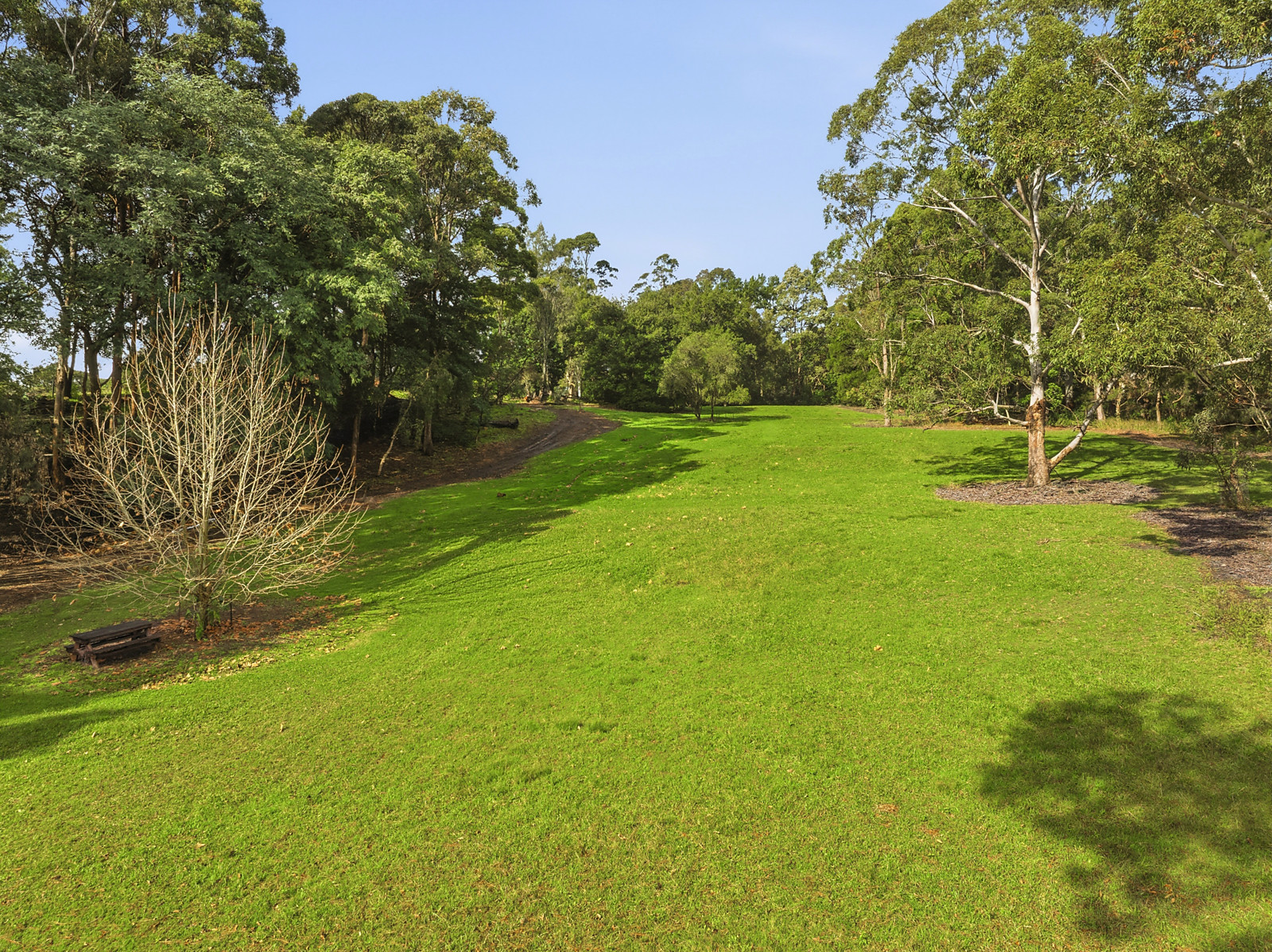 19 Myoora Road, Terrey Hills Sold by Sydney Sotheby's International Realty - image 6