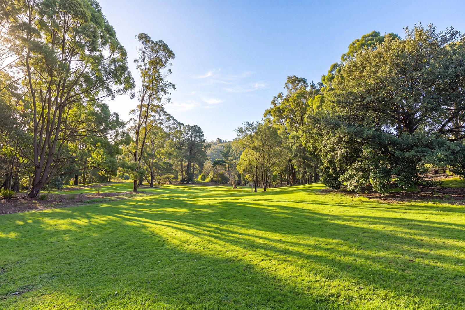 19 Myoora Road, Terrey Hills Sold by Sydney Sotheby's International Realty - image 4