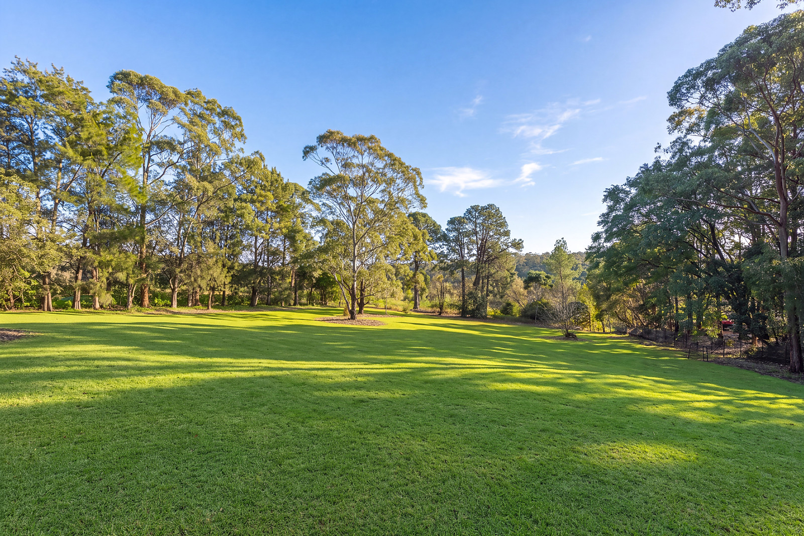 19 Myoora Road, Terrey Hills Sold by Sydney Sotheby's International Realty - image 5