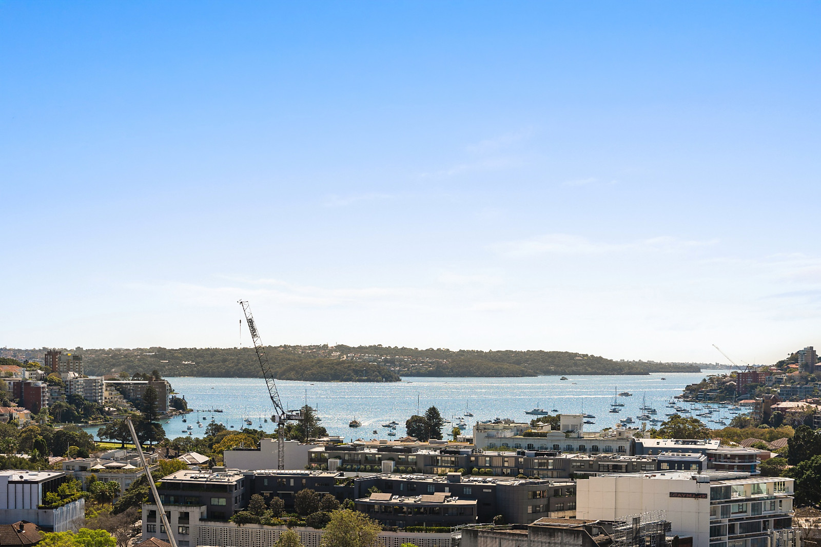 1001/349 New South Head Road, Double Bay Auction by Sydney Sotheby's International Realty - image 15