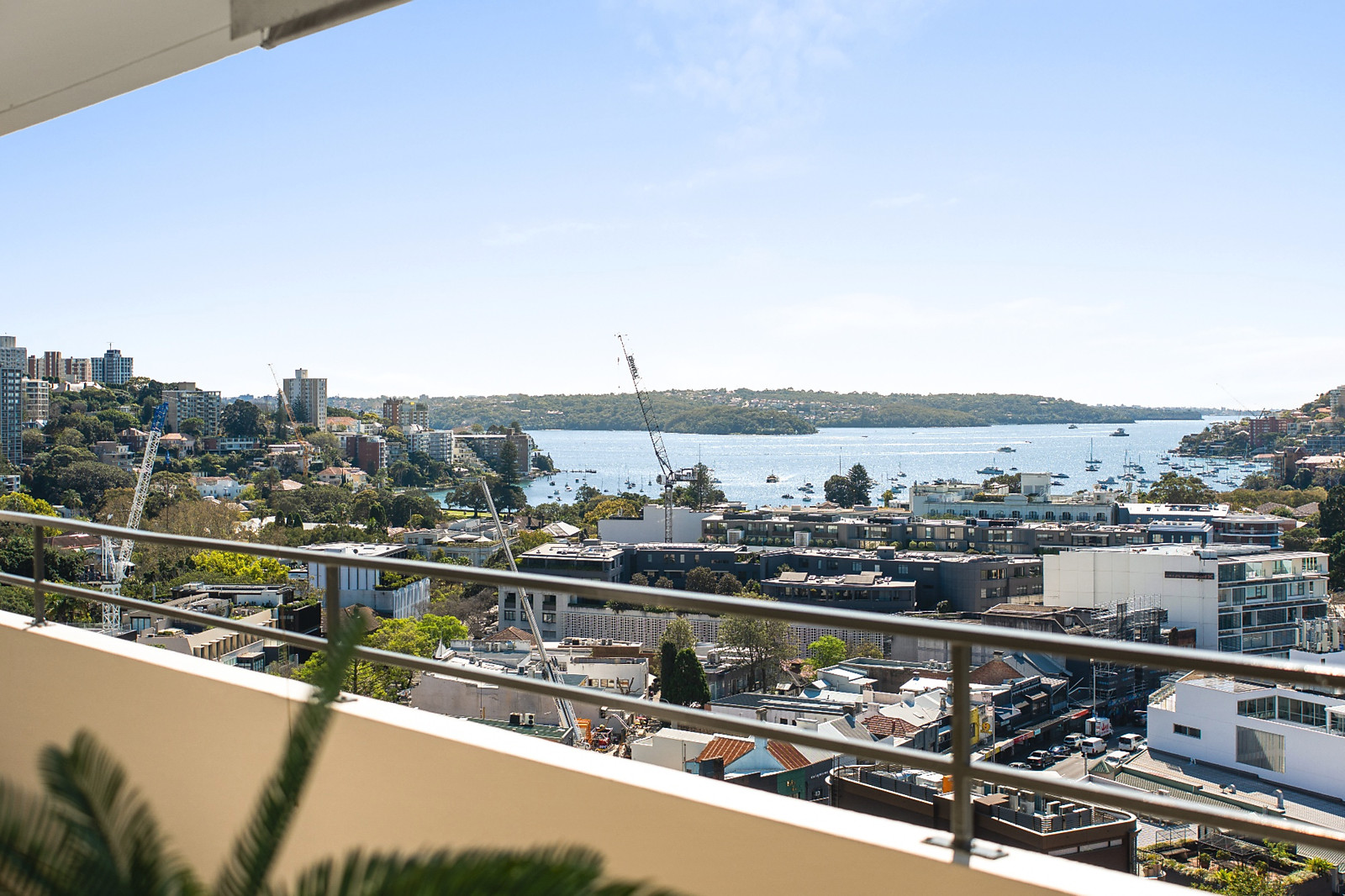 1001/349 New South Head Road, Double Bay Auction by Sydney Sotheby's International Realty - image 16