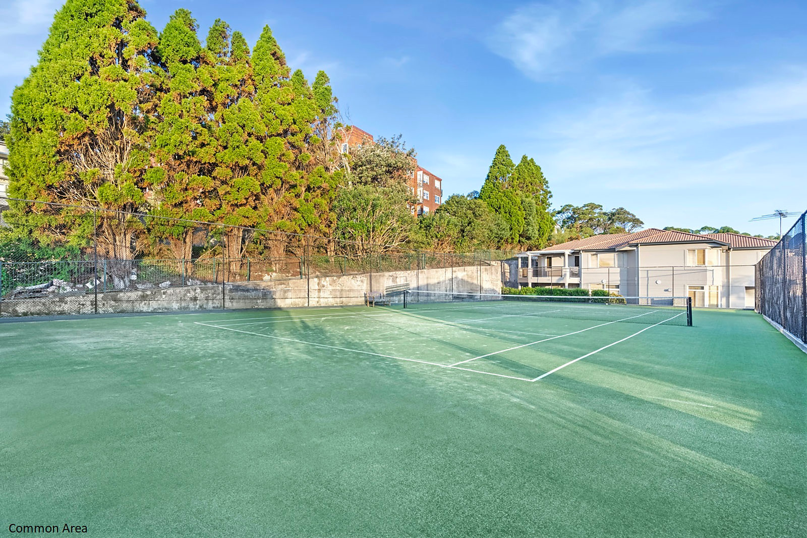 22/17A Cooper Park Road, Bellevue Hill Auction by Sydney Sotheby's International Realty - image 21