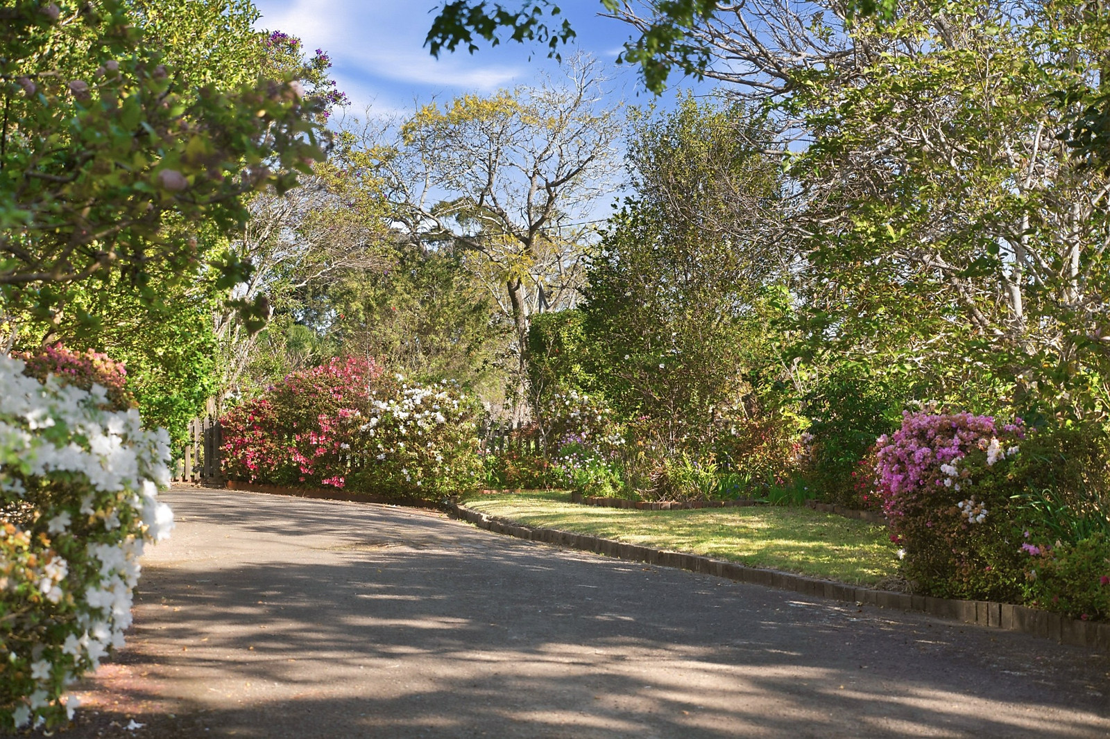 4 Matong Street, Gordon Auction by Sydney Sotheby's International Realty - image 24
