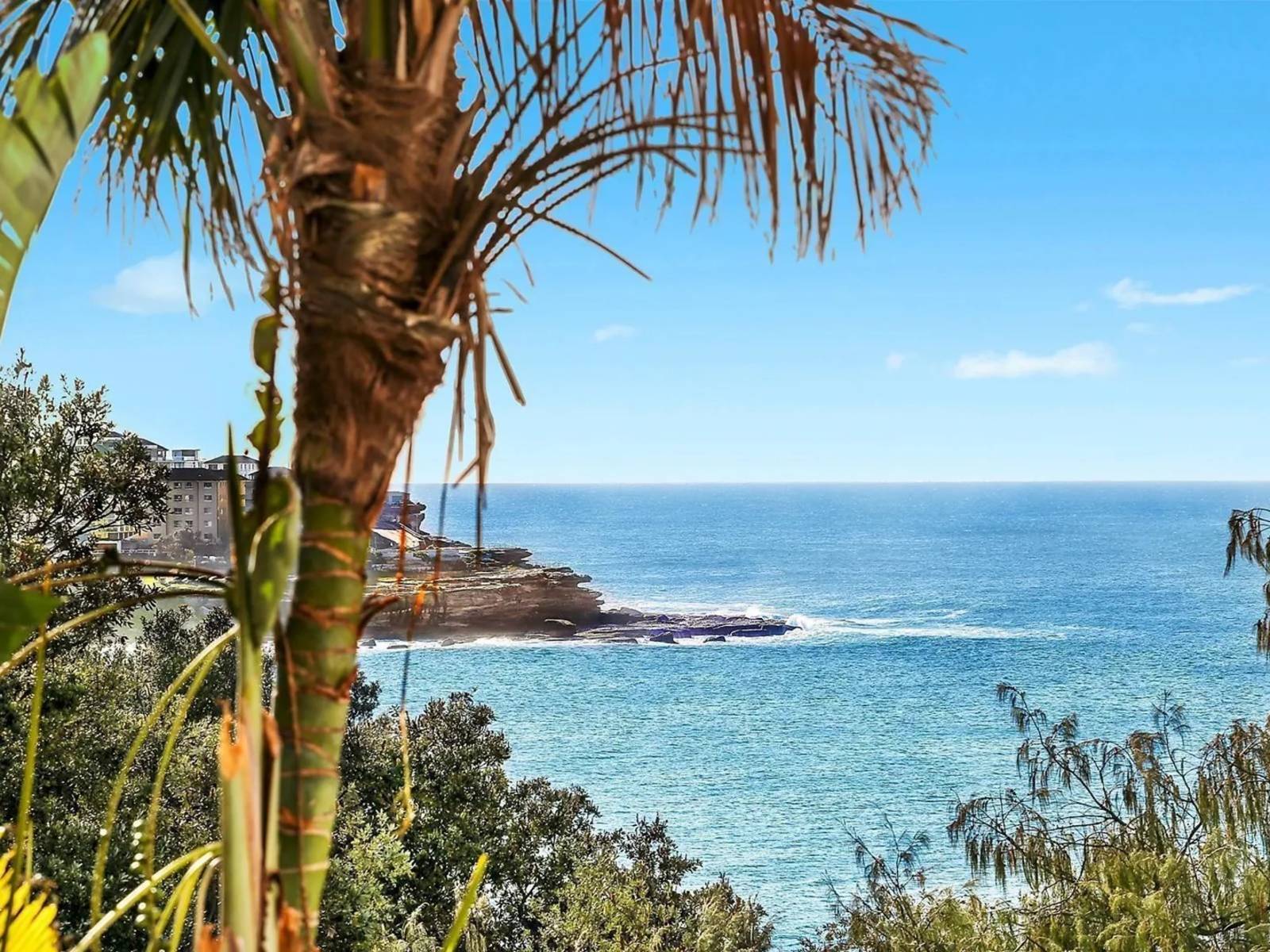 1/8 Sandridge St, Bondi Beach Leased by Sydney Sotheby's International Realty - image 2