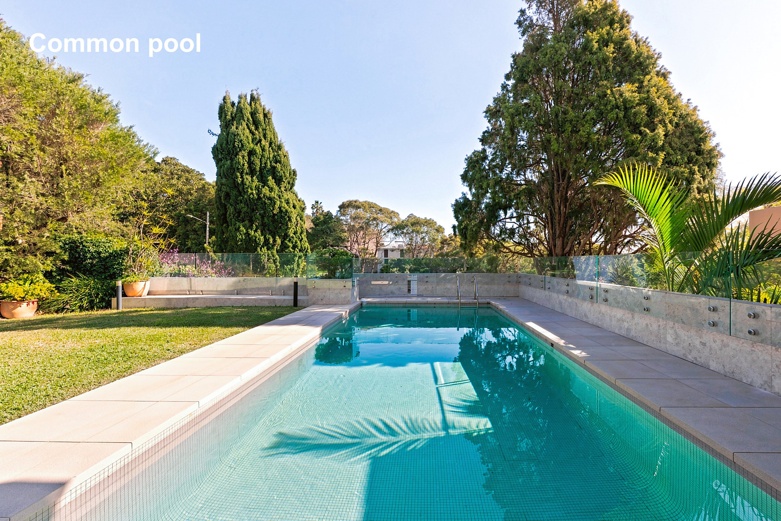 1/18 Small Street, Woollahra Auction by Sydney Sotheby's International Realty - image 15