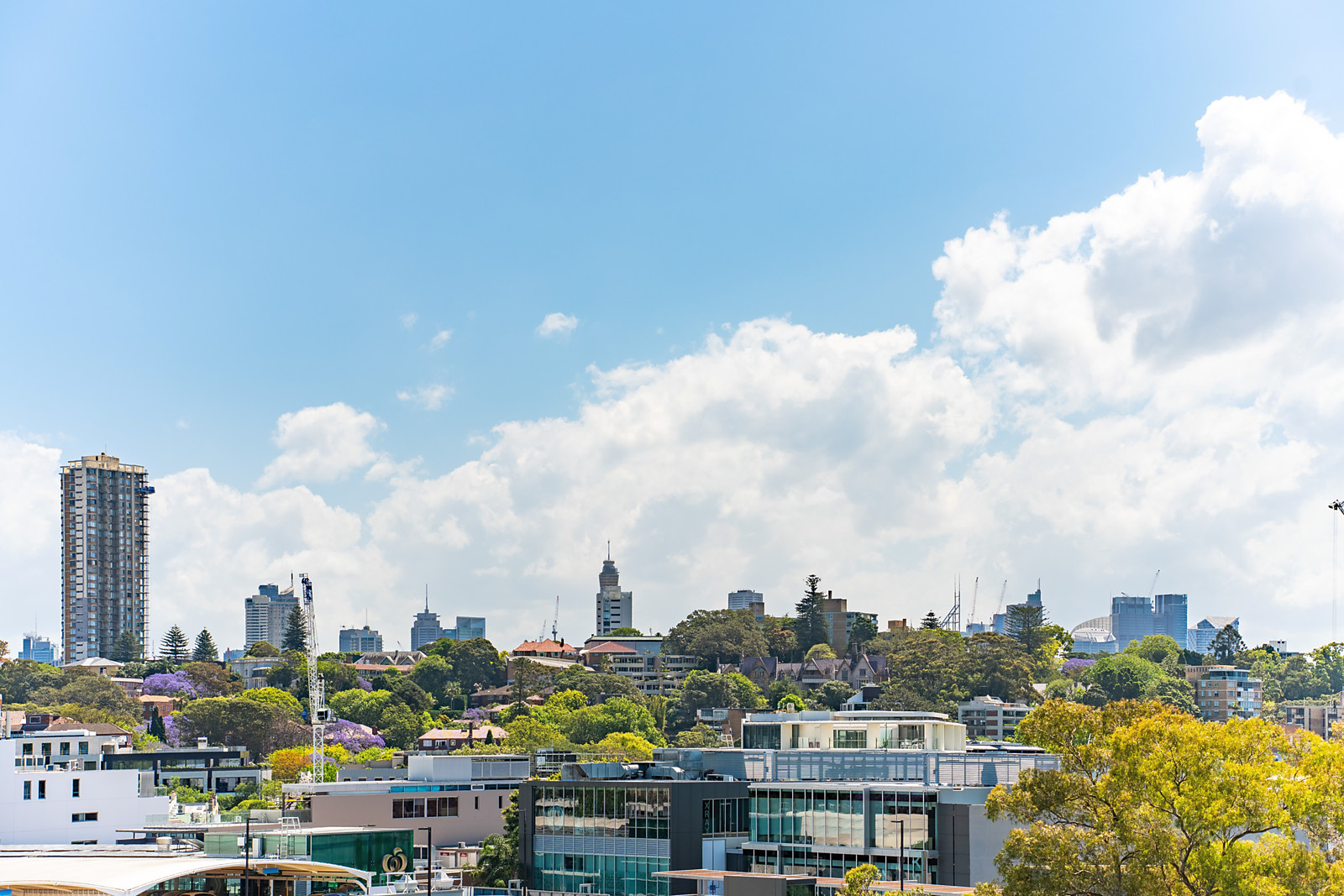 9/154-156 Bellevue Road, Bellevue Hill For Sale by Sydney Sotheby's International Realty - image 9