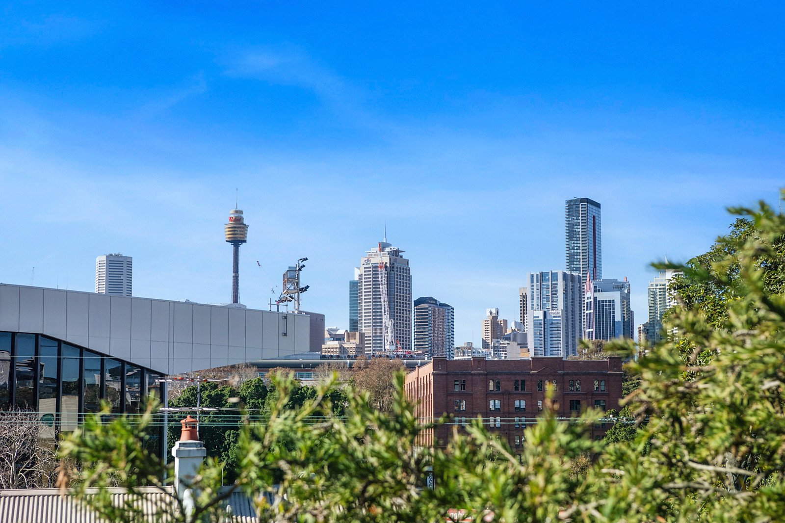 26 Bellevue Street, Glebe For Sale by Sydney Sotheby's International Realty - image 10