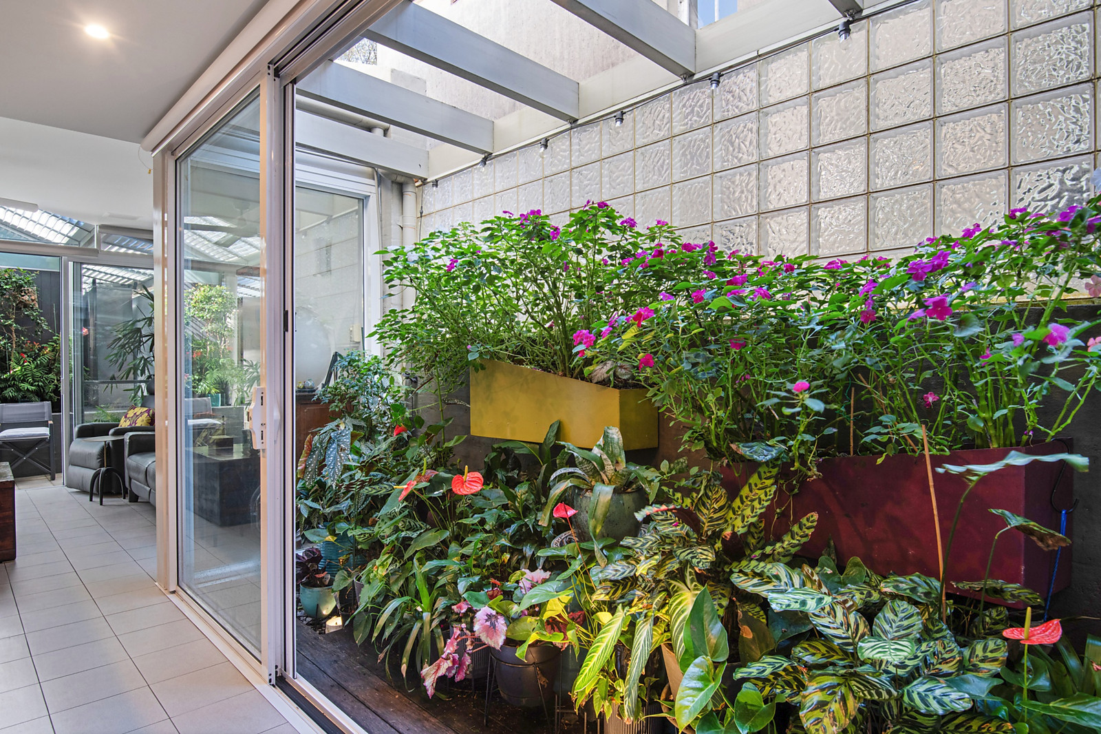 26 Bellevue Street, Glebe For Sale by Sydney Sotheby's International Realty - image 15