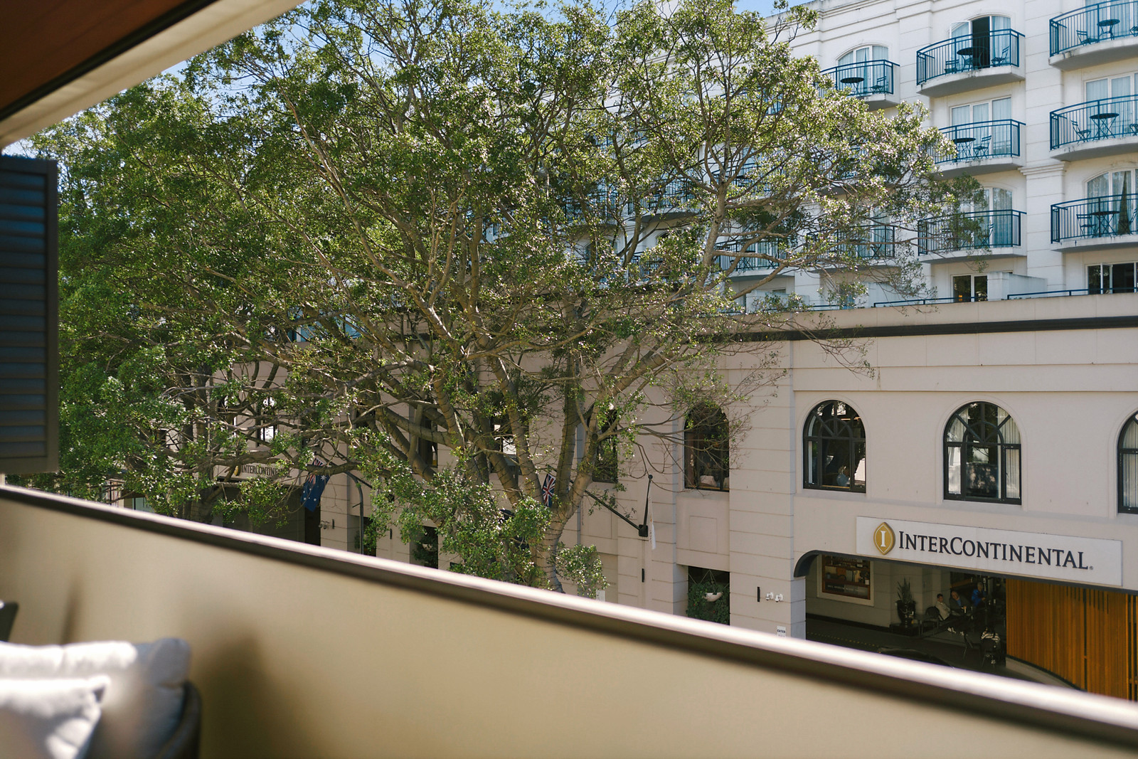 202/16-18 Cross Street, Double Bay For Sale by Sydney Sotheby's International Realty - image 13