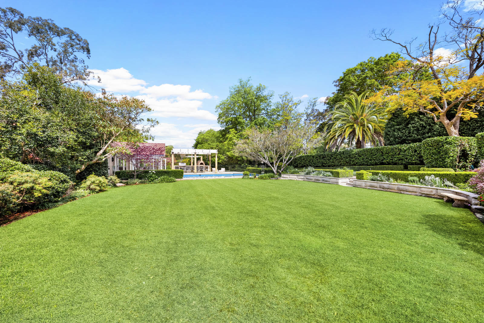 18A Forsyth Street, Killara For Lease by Sydney Sotheby's International Realty - image 20