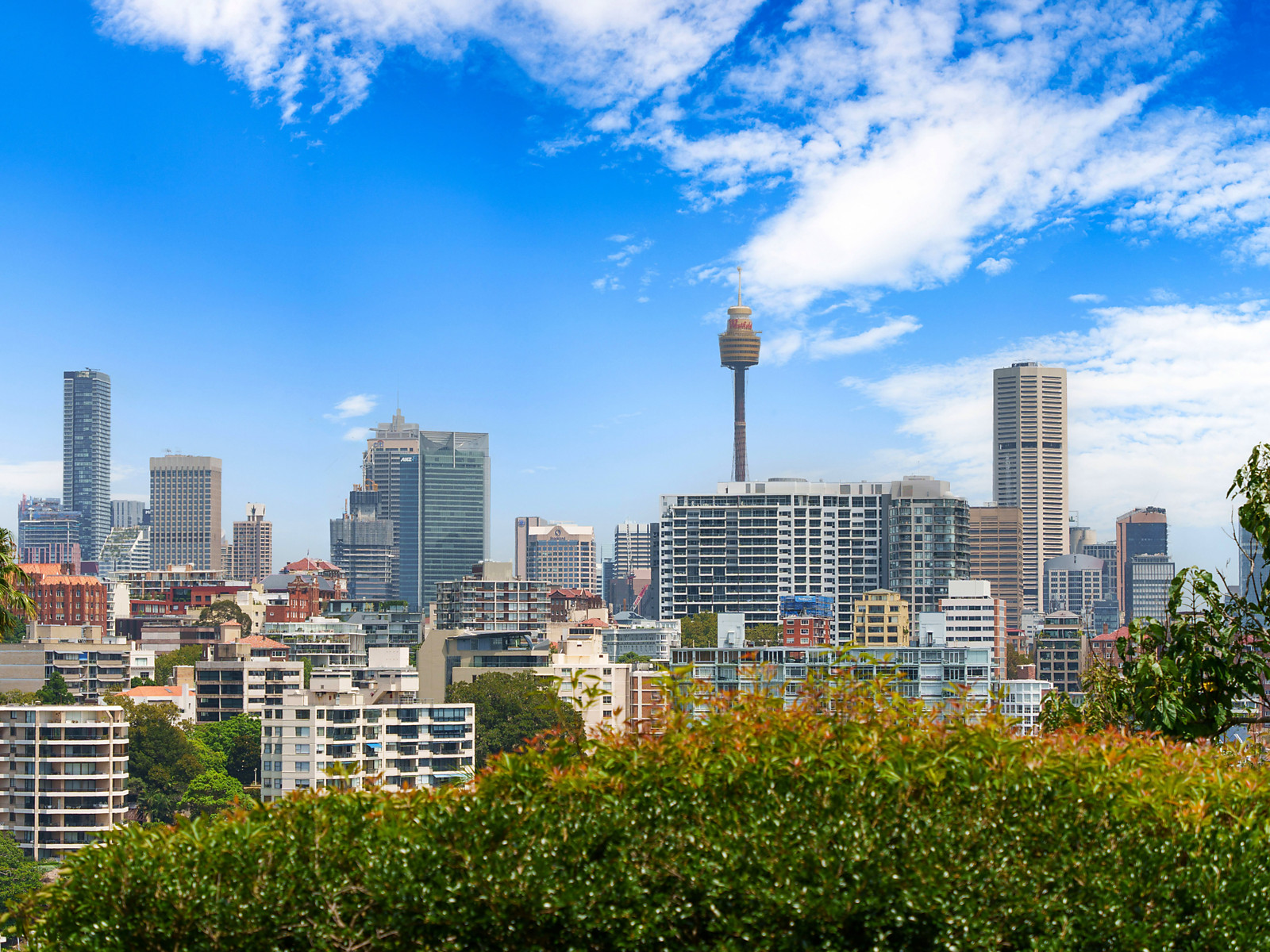 2/60 Darling Point Road, Darling Point For Sale by Sydney Sotheby's International Realty - image 2