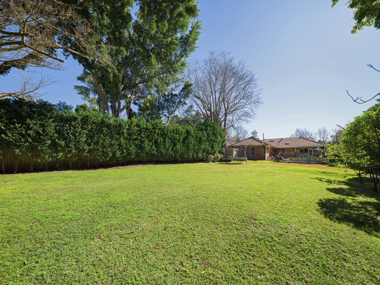 49 Carrington Road, Wahroonga For Sale by Sydney Sotheby's International Realty - image 17