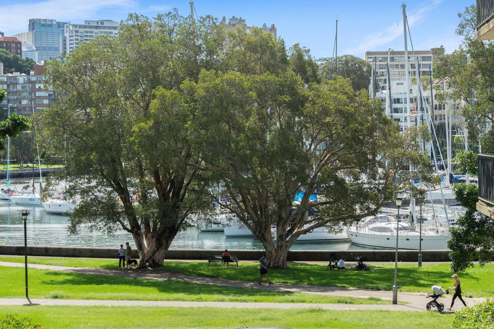 12/42–43 New Beach Road, Darling Point Leased by Sydney Sotheby's International Realty - image 19
