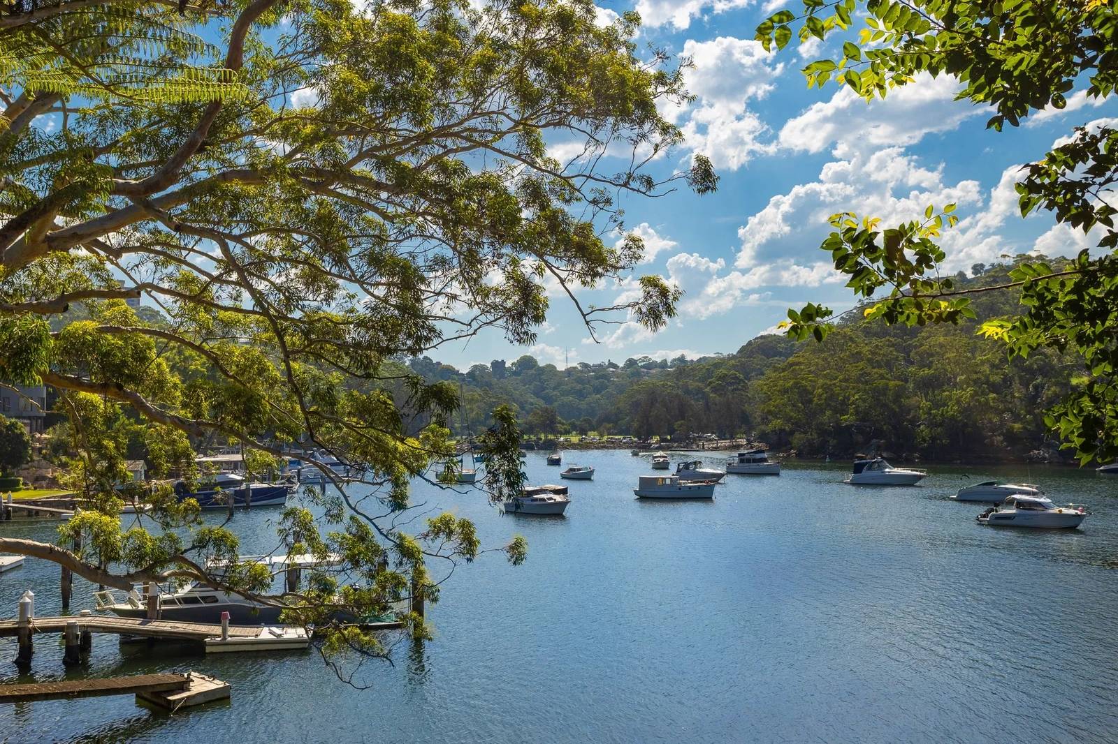 42 Cowdroy Avenue, Cammeray For Lease by Sydney Sotheby's International Realty - image 6