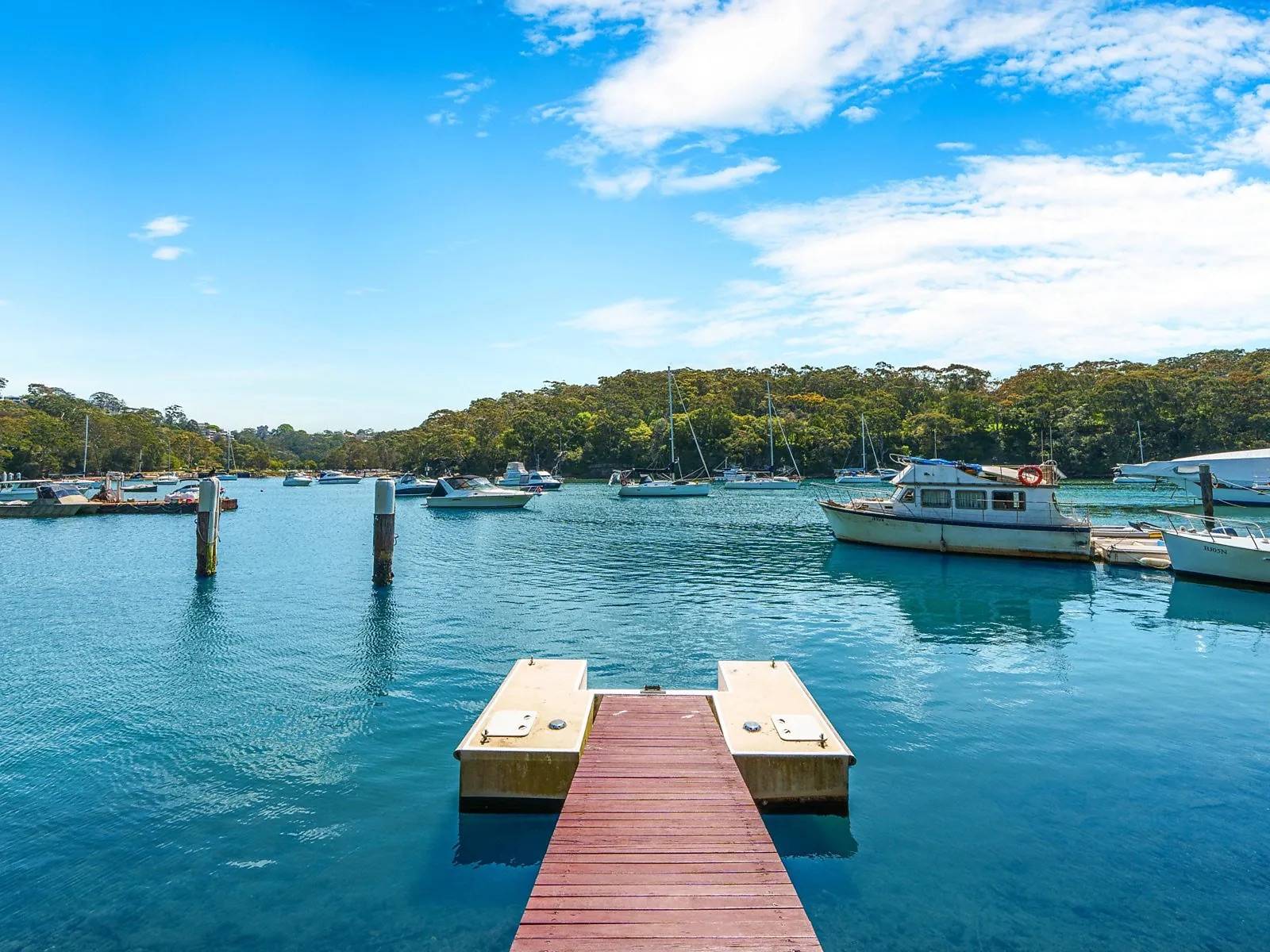42 Cowdroy Avenue, Cammeray For Lease by Sydney Sotheby's International Realty - image 5