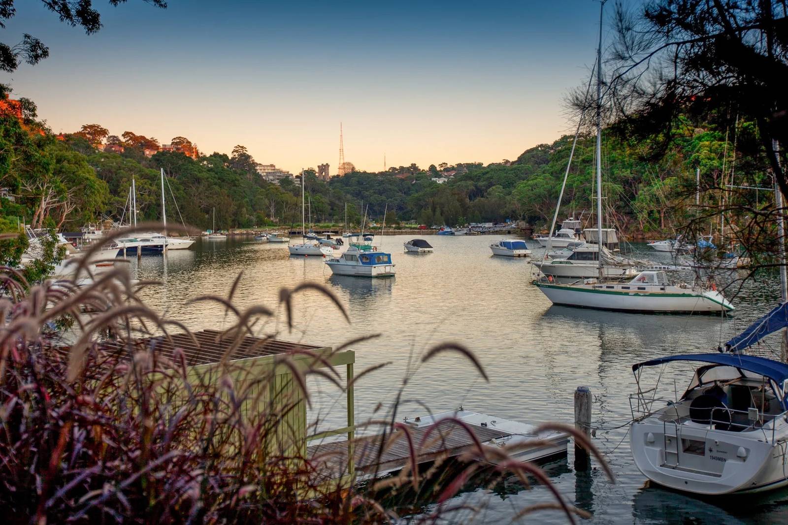 42 Cowdroy Avenue, Cammeray For Lease by Sydney Sotheby's International Realty - image 22